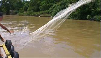 Destaque, rede de pesca.