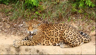 Parque Zoobotânico