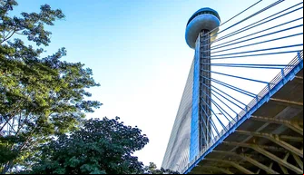 Ponte Estaiada