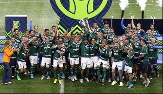 Palmeiras vs América-MG