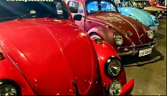 Exposição de Carros Antigos