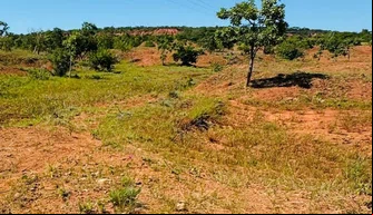 Semarh realiza lançamento da cartilha sobre desertificação e áreas degradadas no Piauí