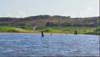 Área de proteção ambiental em Paulistana