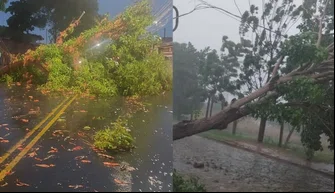 Ocorrências durante fortes chuvas em Teresina