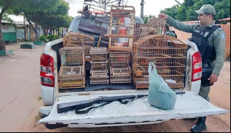 PM apreende arma de fogo e aves silvestres em cativeiro em São João do Arraial