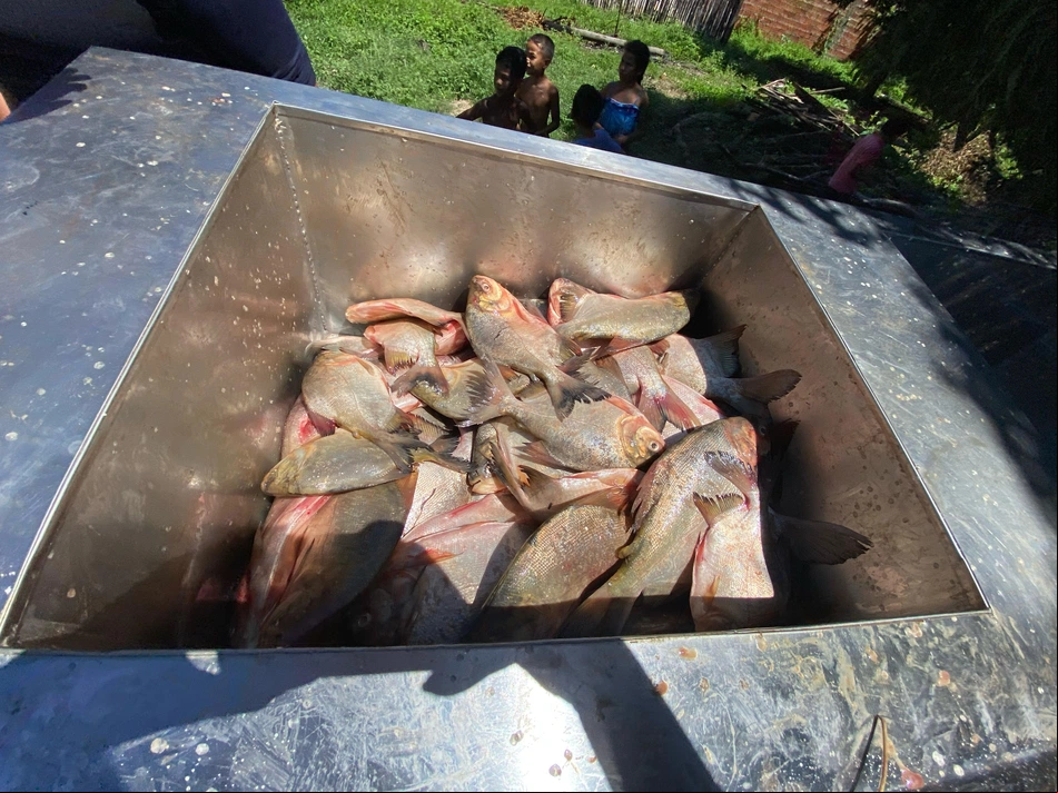 Peixes distribuídos para moradores em Esperantina