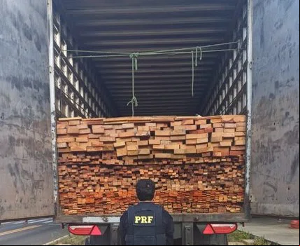 PRF apreende mais de 50 m³ de madeira transportada ilegalmente no Piauí